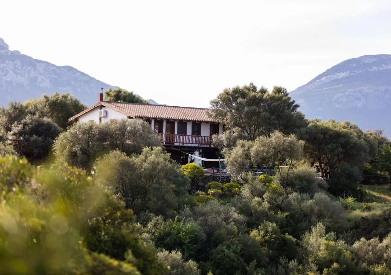 Ecoparco Neule Villa Dorgali Italy