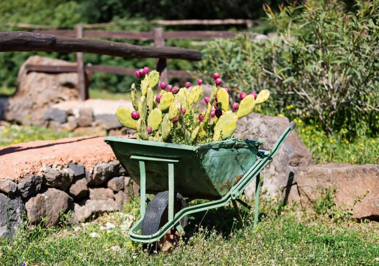 Ecoparco Neule Villa Dorgali 0*,