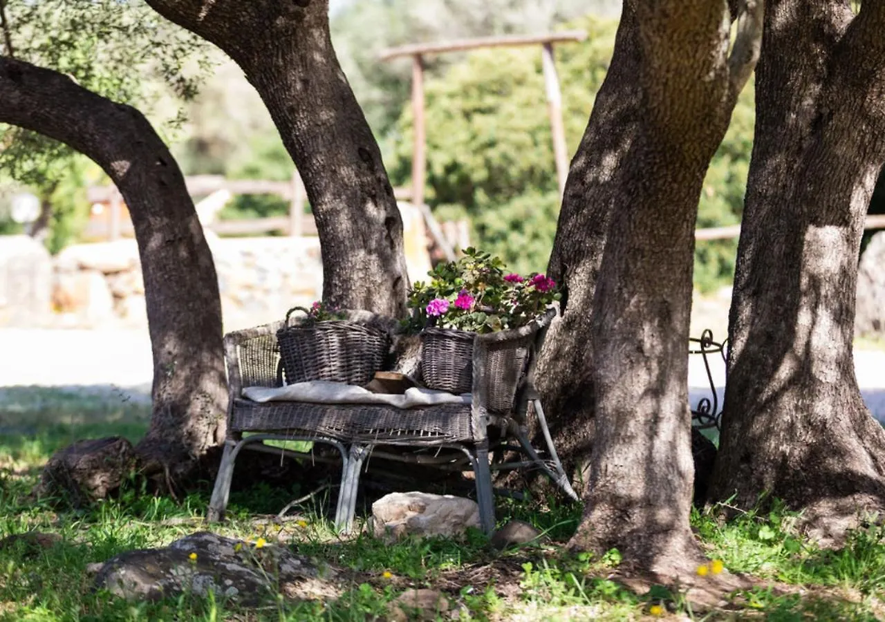 Farm stay Ecoparco Neule Villa Dorgali Italy